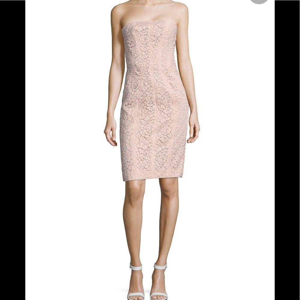 Corded Lace Sheath J. Mendel  color Blush